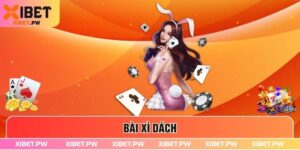 Bài Xì Dách - Game Bài Hấp Dẫn Nhận Thưởng Lớn Tại Xibet
