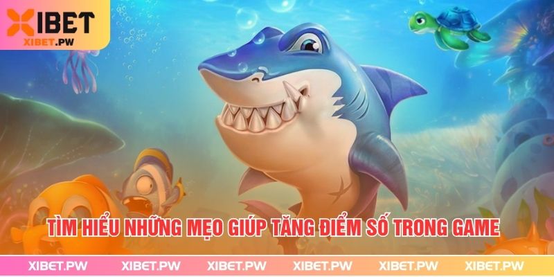 Bắn Cá Rùa Xanh – Trải nghiệm Đại Dương Săn Thưởng Tại Xibet Tìm hiểu những mẹo giúp tăng điểm số trong game