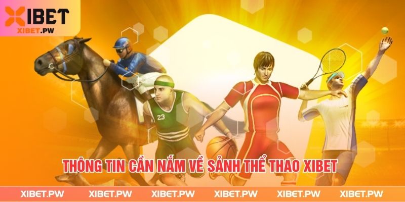 Thông tin cần nắm về sảnh thể thao Xibet